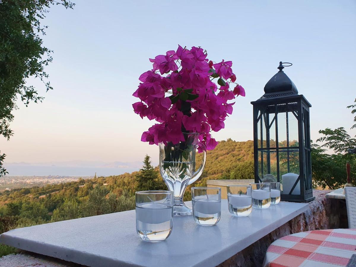 Orea Ellas Kos - Apartments & Bistro-Cafe Lagoudi Zia Zewnętrze zdjęcie